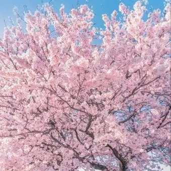 Profile image of 선생님