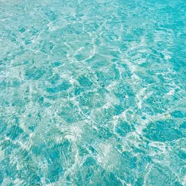 Profile image of 太宰