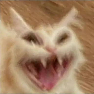 Profile image of 늑대