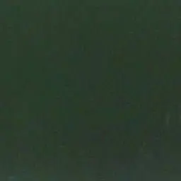 Profile image of 伊波ライ