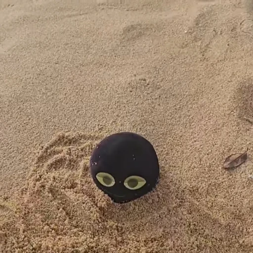 밥