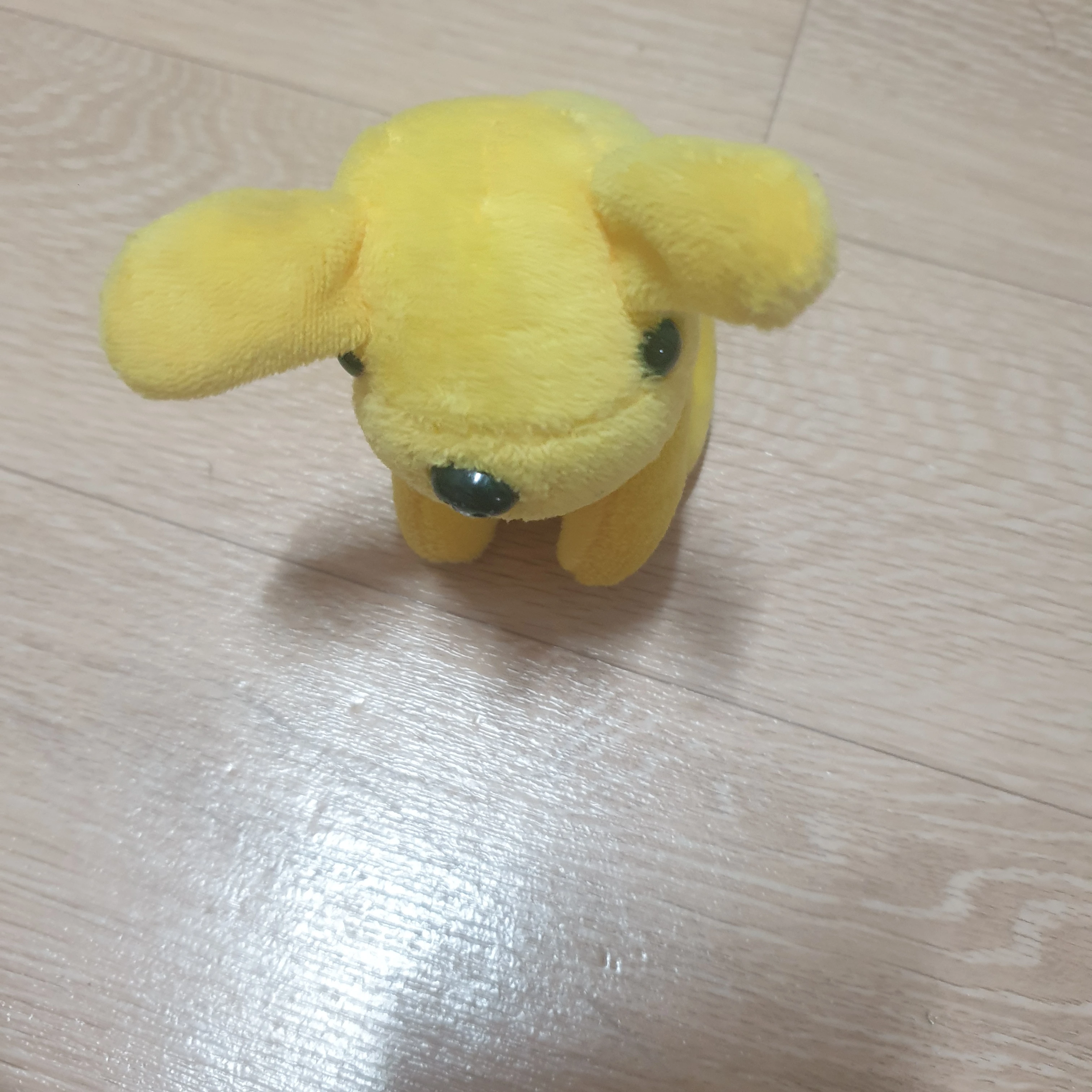 고고프렌즈 