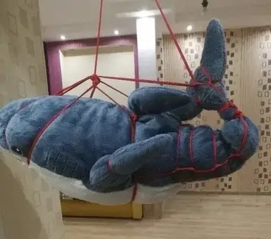 Profile image of Ava