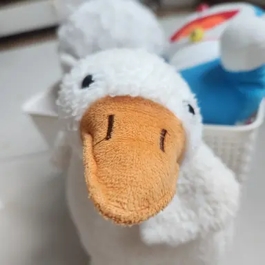 Profile image of 리오