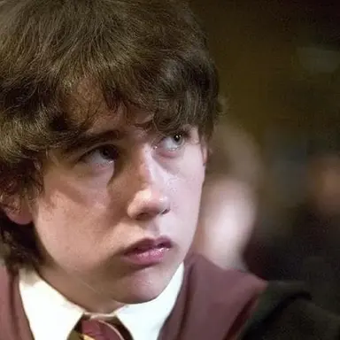Profile image of Neville Longbottom
