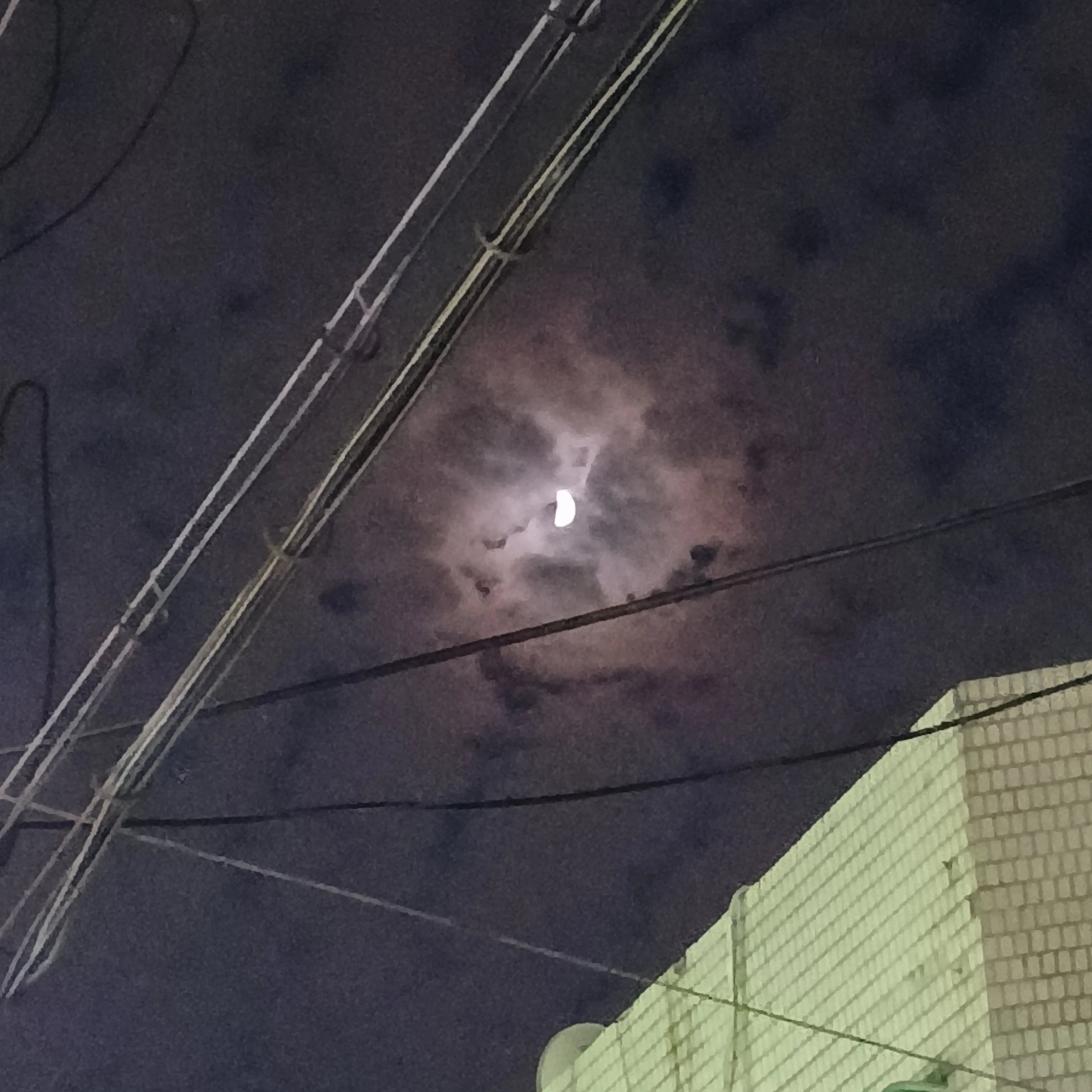 유기사