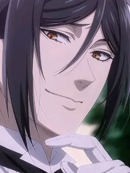 Profile image of Sebastian Michaelis