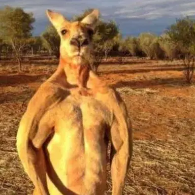 Profile image of 상호