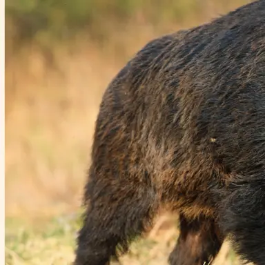 Profile image of 저수