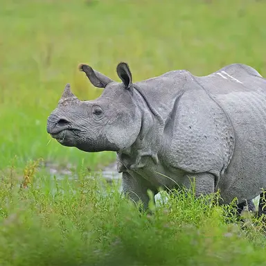 Profile image of 박요한