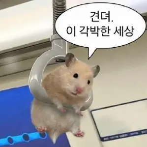 Profile image of 에리