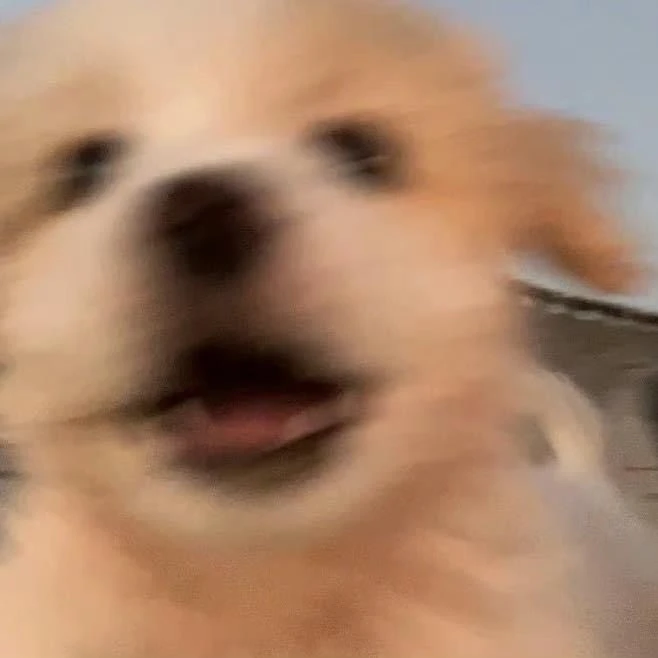 백설