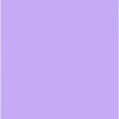 Profile image of ふてこ