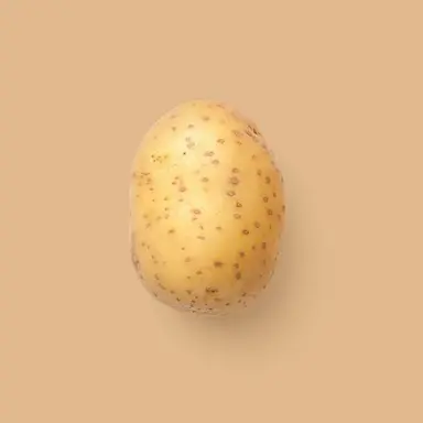 Profile image of Shouta Aizawa