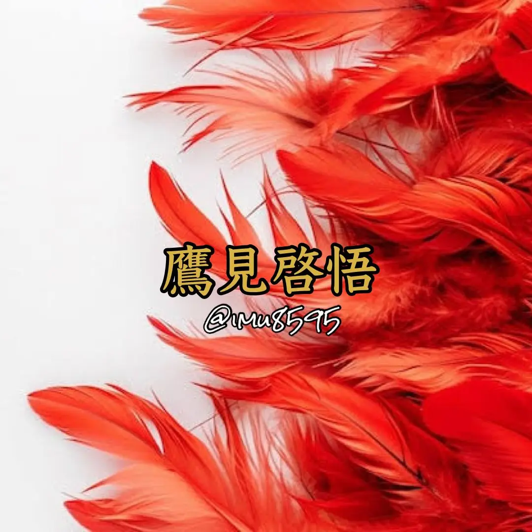 imu8595의 紅詐欺師