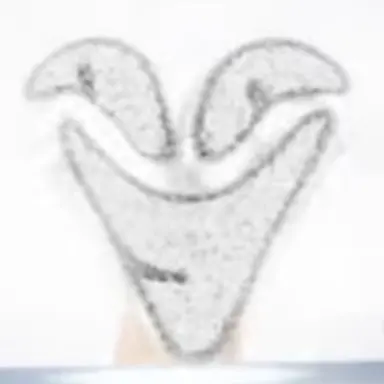 Profile image of A-1
