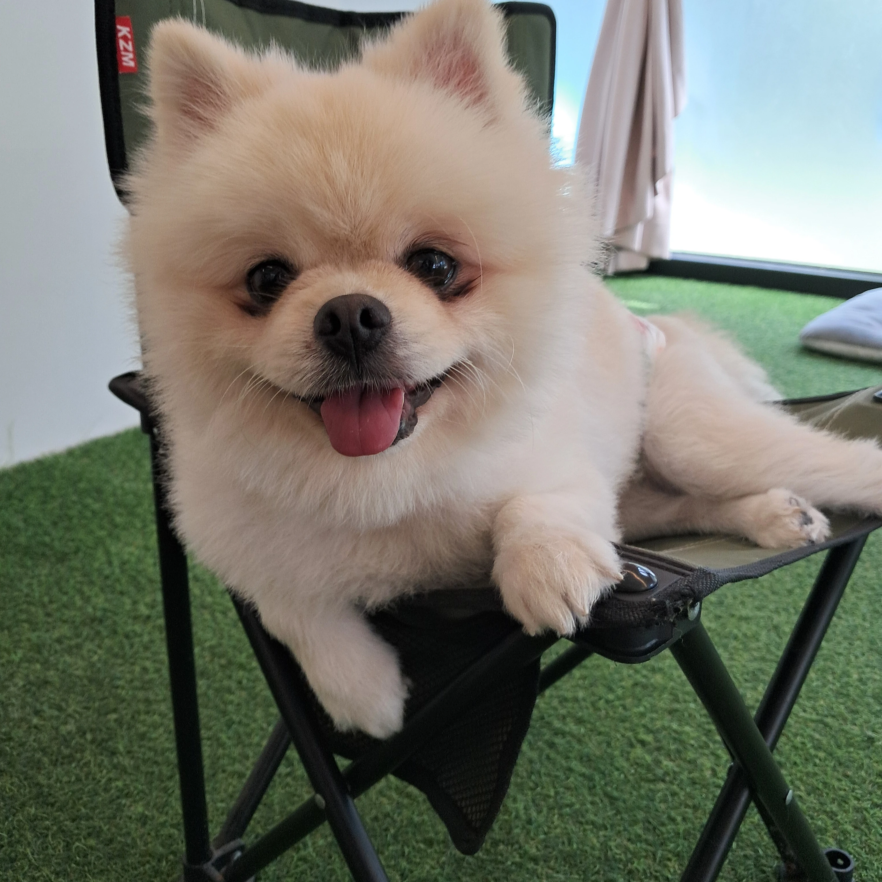 올데이 프로젝트