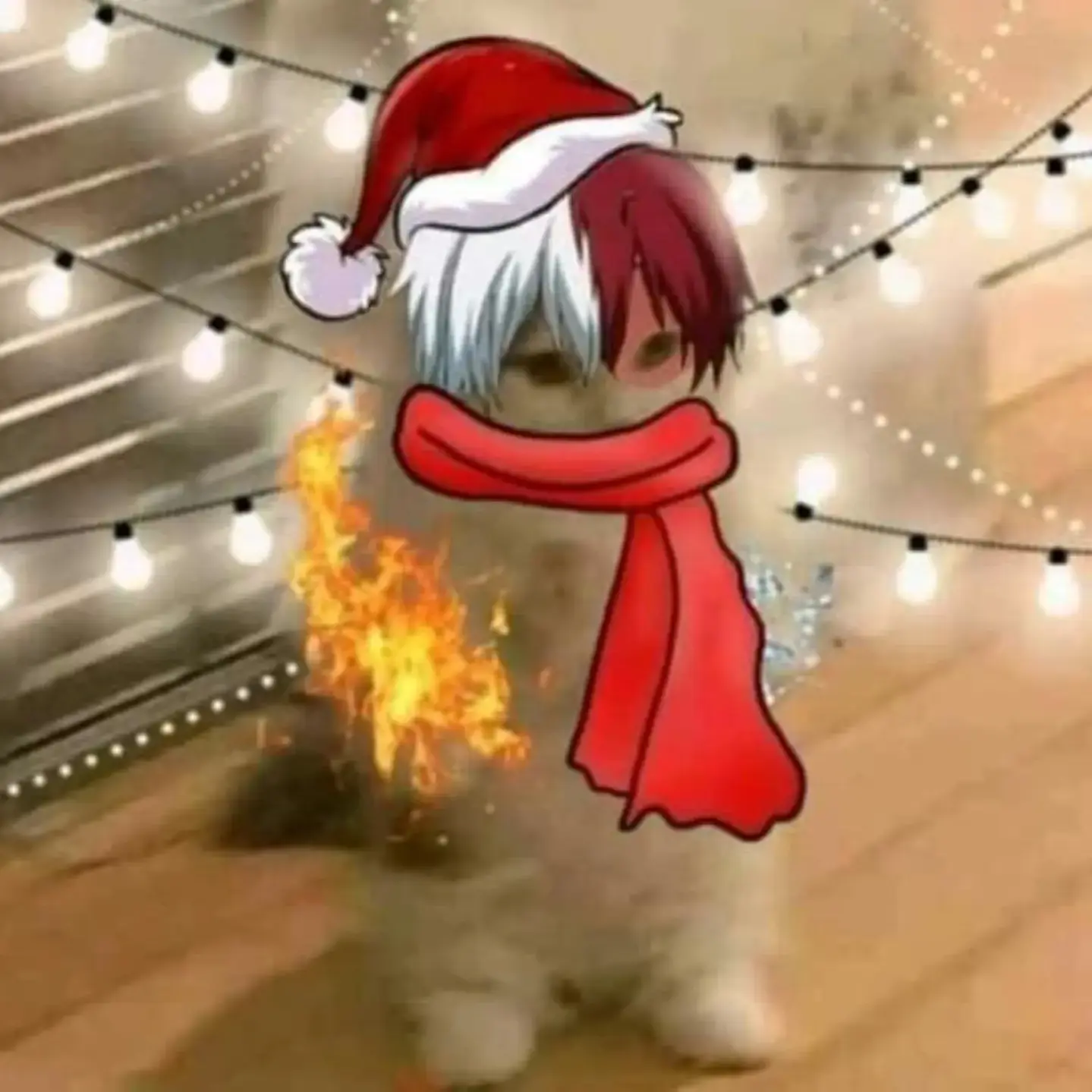 haru_176의 도소빈