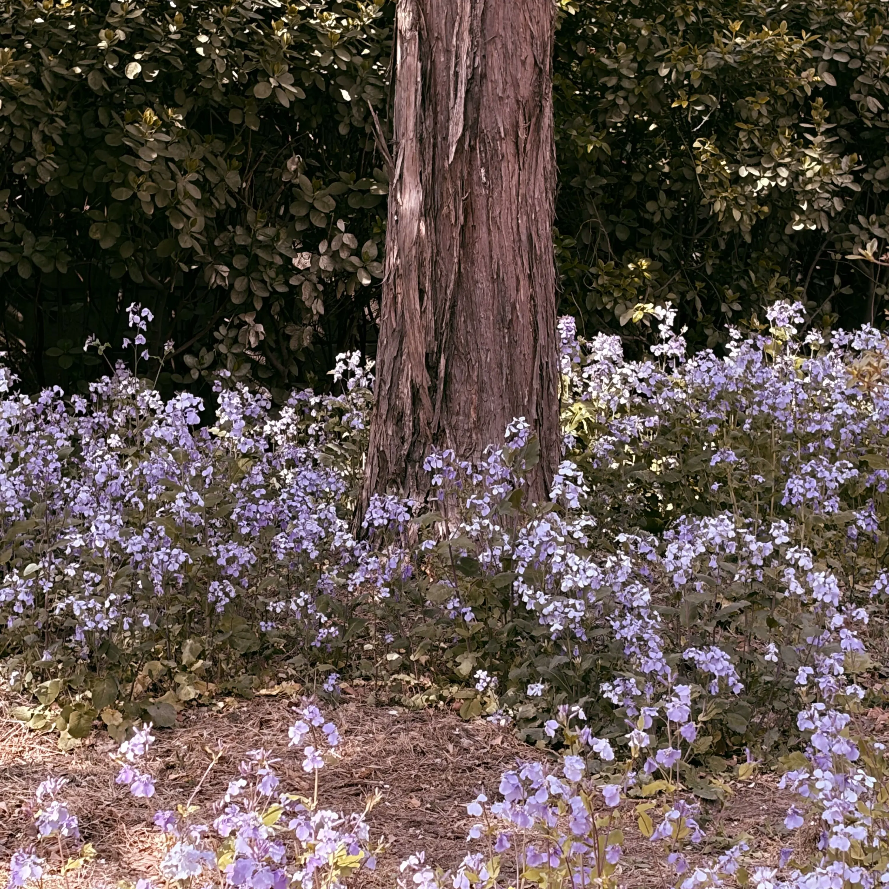 hdvwxafdqyodqhlx의 울지마