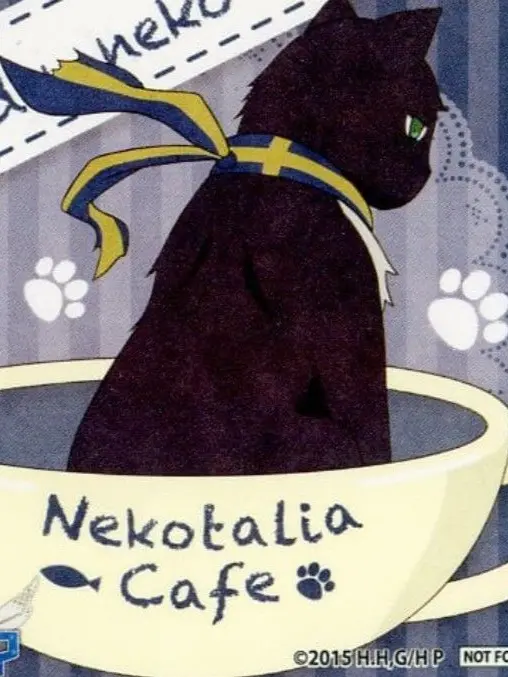 RORO1010의 ねこスーさん🐈‍⬛🇸🇪