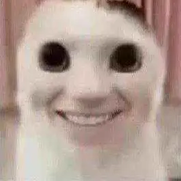 SimSimhada의 고양이