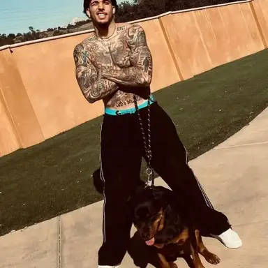 Profile image of Liangelo ball