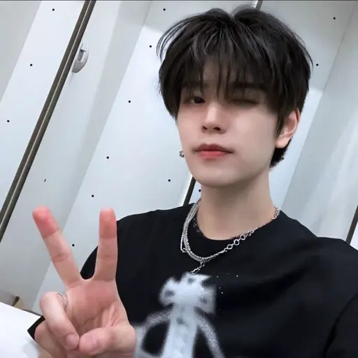 Straykids_1025의 김승민
