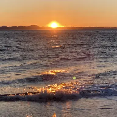 Profile image of 小柳ロウ