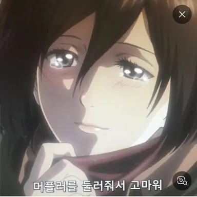 Profile image of 미카사