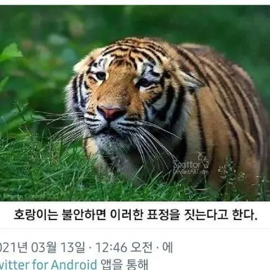 Profile image of 카이든