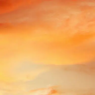 Profile image of 덕개