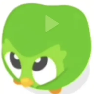 Profile image of 듀오링고