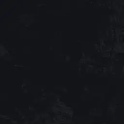 Profile image of 川西拓実