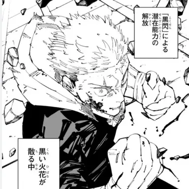 Profile image of 虎杖悠仁