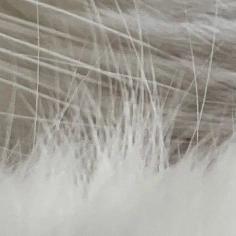 使用禁止