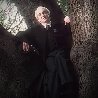 Profile image of Draco