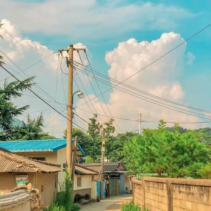 whitegap의 백이준