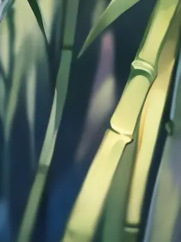 DampCable0095의 임소병