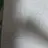 이사