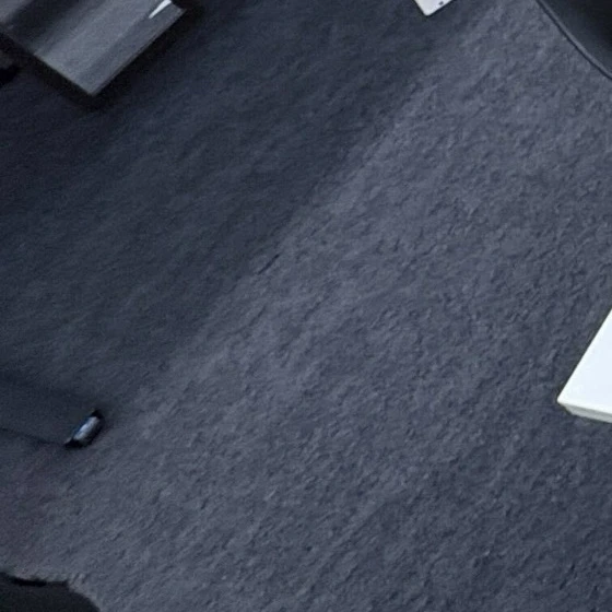 김동현