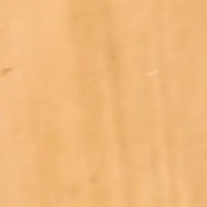 Profile image of 블던