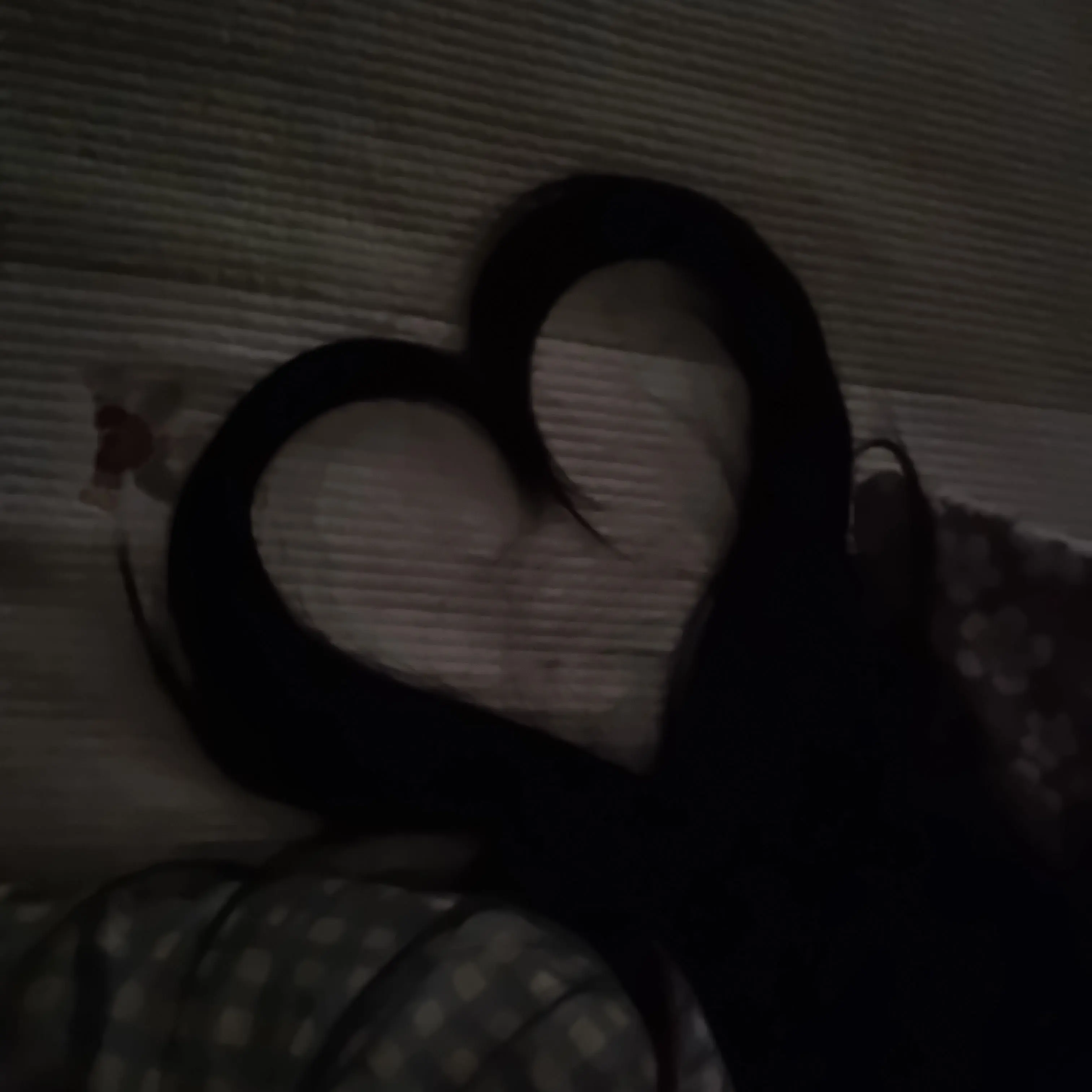 DeepRhea2677의 남사친