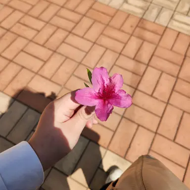 Profile image of 유저