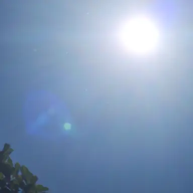 Profile image of 여우