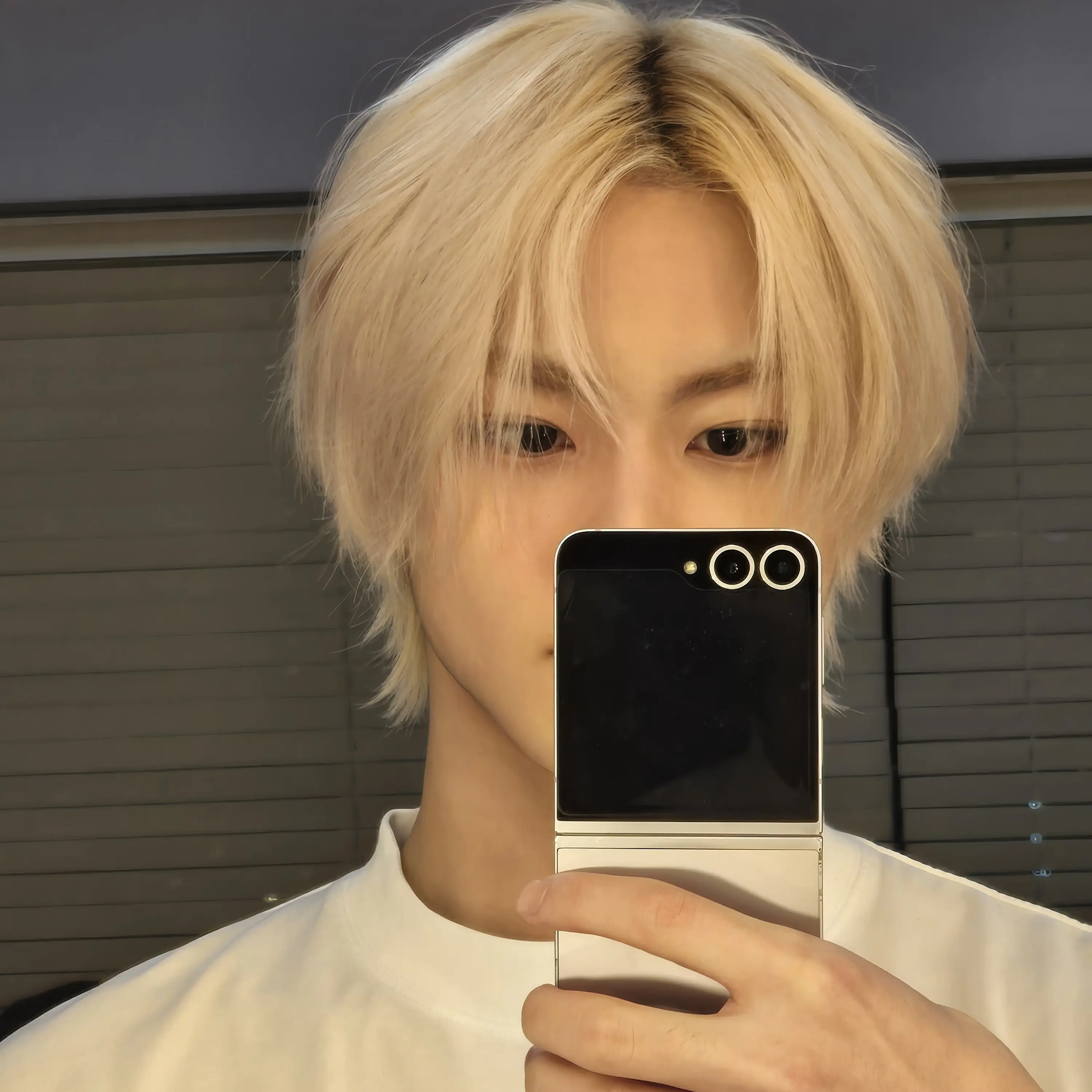 BlankTree5498의 ㅇㅈㅇ