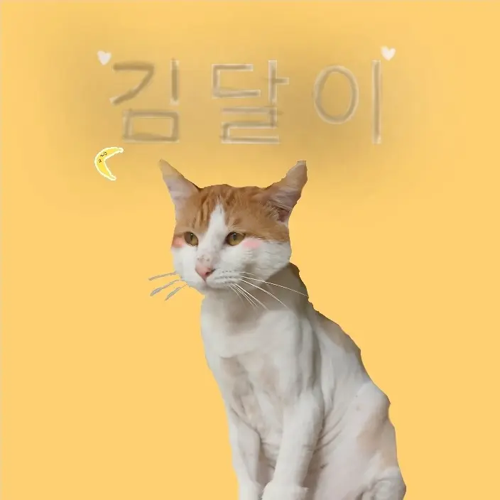 FussyViola7397의 소다육아