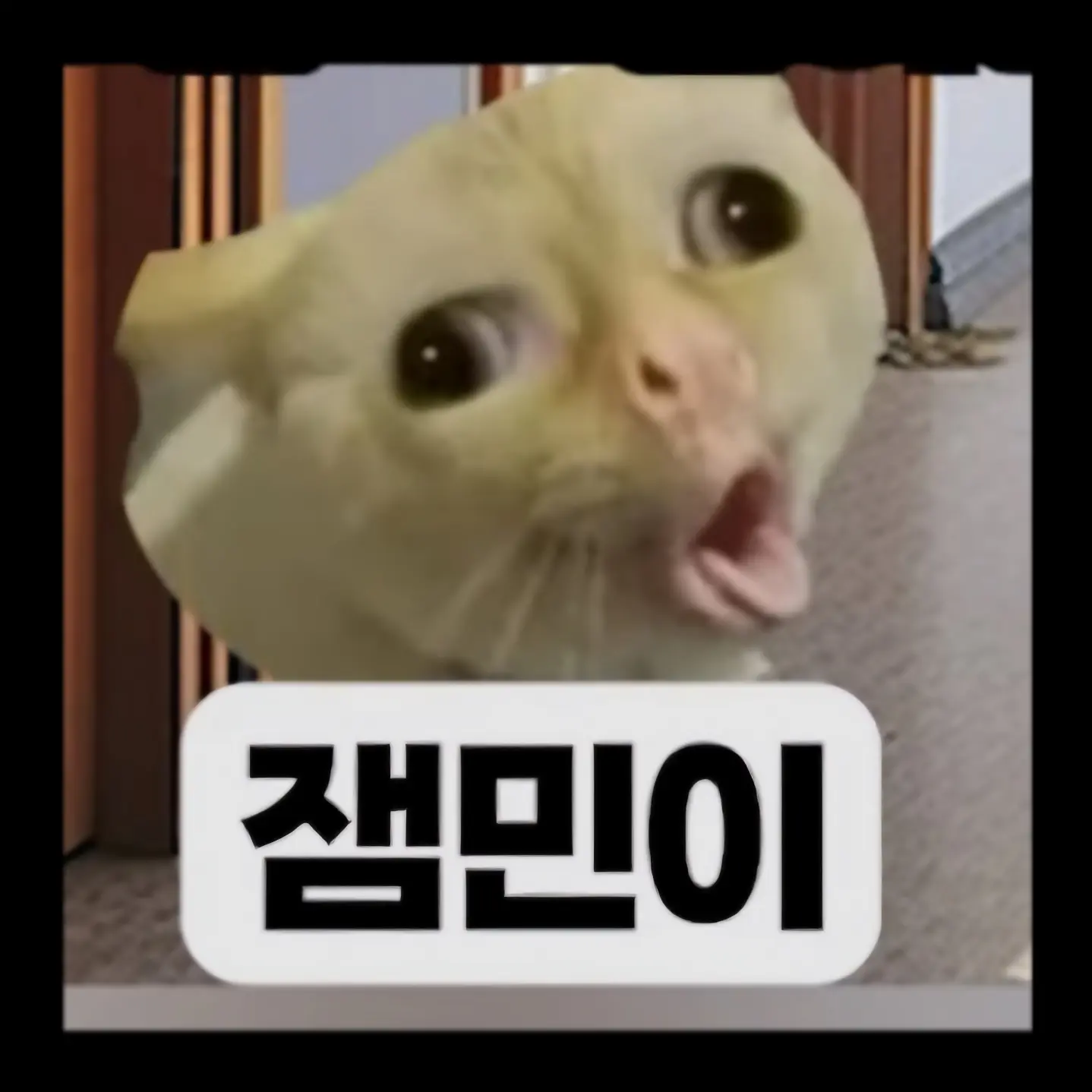 BarePatio6155의 잼민이