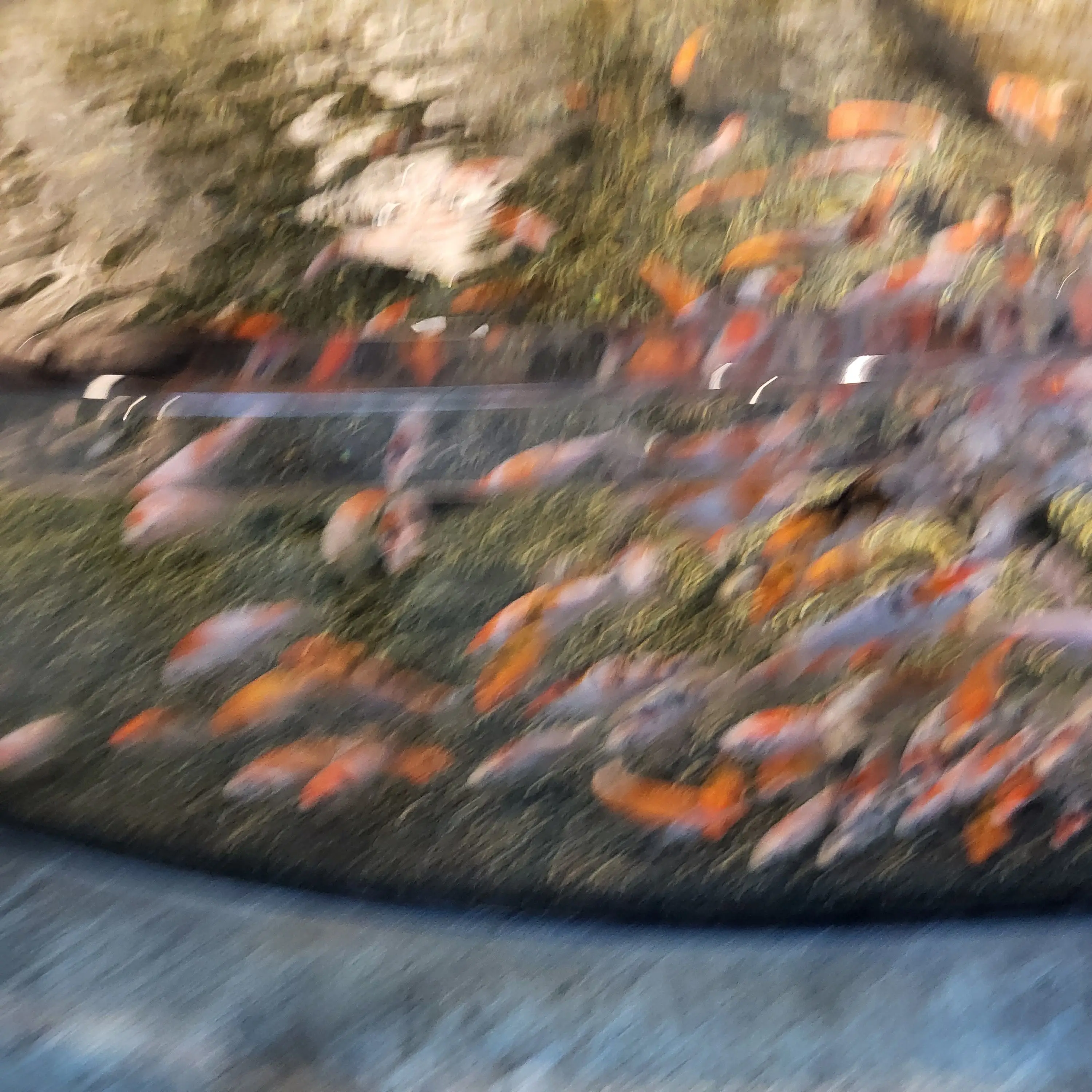 Tttnd의 미츠리와기유가 바람핌