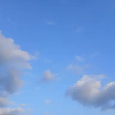 Profile image of 잠뜰