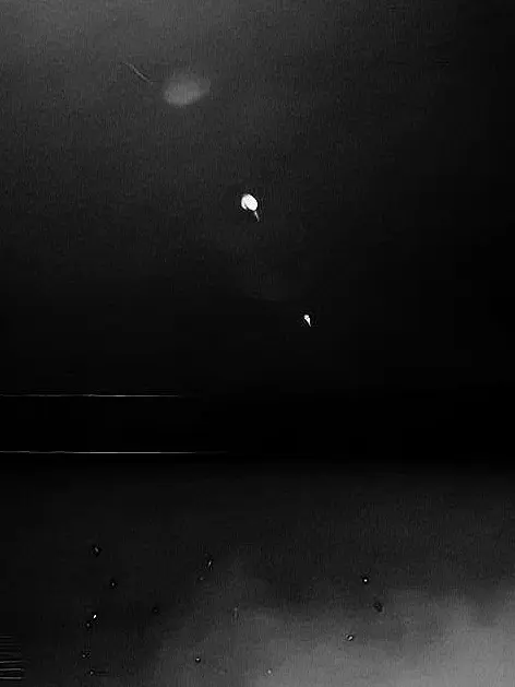 MeagerTune3200의 KーPOP×呪術廻戦